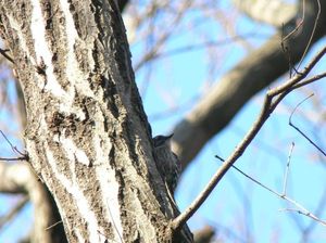 Cc42a6ae3cc4c2cd6323426dc92cf5ee