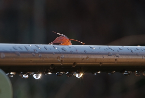 24c4b65bd84dd0ce05cfdc172e43d044