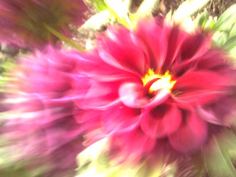 Ddefc461acc9703a724125be209e3d78