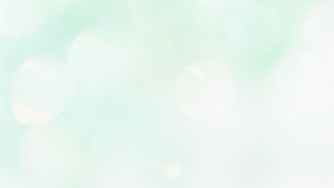 Ef9b040aa0ccf6191ac454cb2436c072