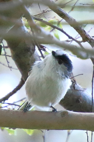 Ea9d7415999312805fa7e45b55704a35