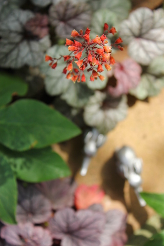 C19e73b53d54fefe76942bc54a117797