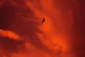 D5834b0af5bff7f49c9d7149616a330c