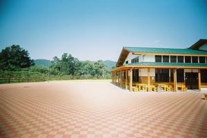 81e17d829b322b0a119030cce342343d