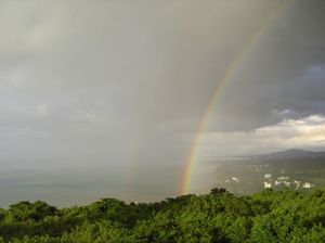 Caa0f5636cb88000c59127454b5780c2