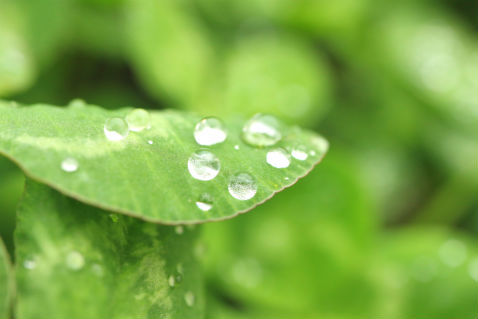 B995d87d5517d08f2bc84abad64494a0