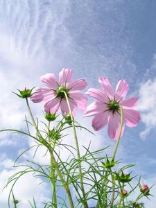 17f1a721cfe2300663e9a6bb70f5ed9b