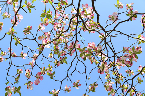 Ef8fe8e2a2a5be304c6df87b080a5221