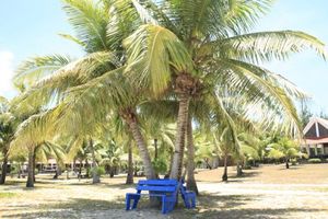 B33dddb96a6c7ae6925af923554f5388