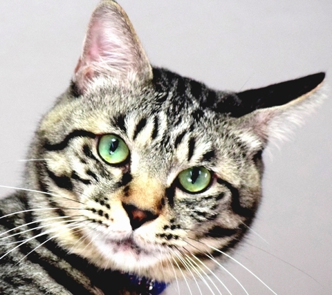 5c672ae00df7fd36227007ff0948e102