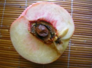 7ef860258d107c1e31b48e35259488be