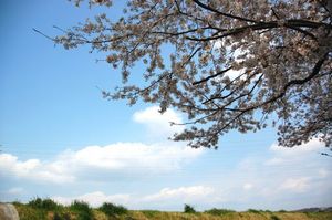 E4fb387c3c917e166b8dab2ad794c698