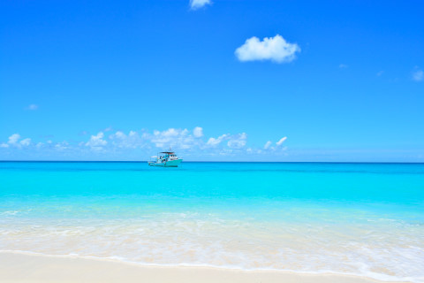 8e640011c461f7644e7fa6ff4f597199