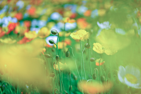 Ed79e12e20bc0a780553afc8e0e2c24e