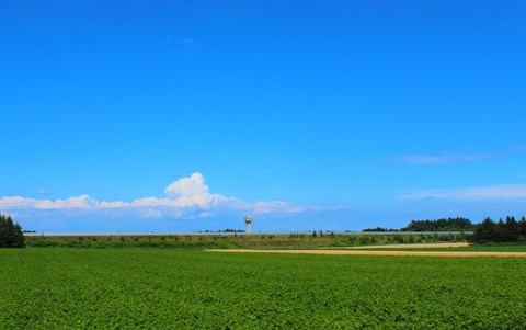 87e11881dc828008b1c62c2ec72675e0