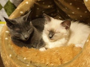 2f561e4f151d17c52c2c2481526b92a8