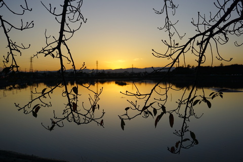 3aa6bef4ad32db7317d8b994e02fc5be