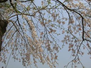 4543330805af846b8647d3a4e4375b08