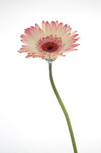 0527a135f151d8a34b86b28301636b36