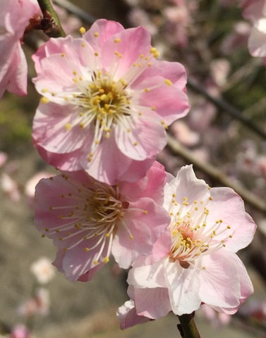 D5b99dbdeb8c842b6b7e8c36304ee642