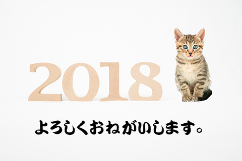 A7f69f068a2cc353415885c6bda183b1