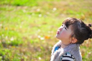 060fd41a07a4da6dea61a0577b190ae9