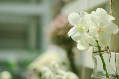 0e5065c0cd655c48a3b91ffca18efca4