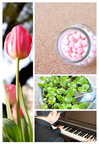 5b17e4ede1e2c454f1ae77092126041e