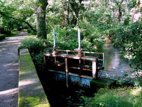 Bee186dfe8ae6369a7c5c461fa66544a