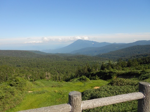 64f448f70781ba60e2d3b3337c7ae3f6