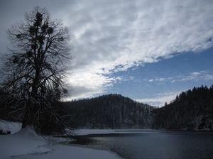 11316a901afadeaaff750a4ce9a636d8