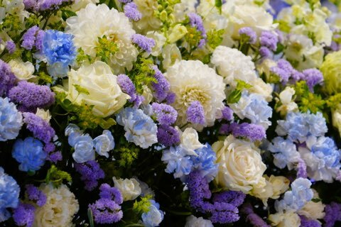 1c1155d21eb91c91b51a23e535339f46