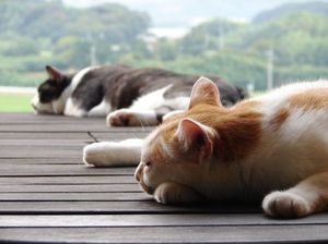 5b1be34bc35467ebefc78d08862a1d5b