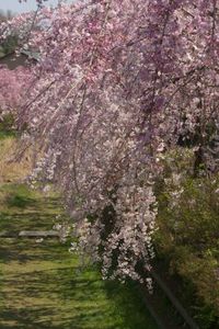 6f31011d0463438cdcf994d19878a681