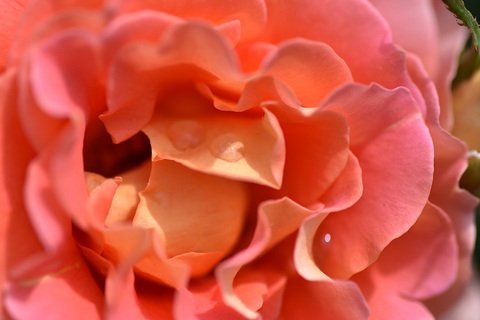 A4696e6e89fdf736ae9484f2aa6bb038