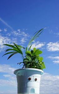 8ca9843de380eaae3e7f5d66ec414bf9