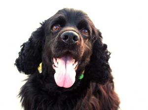 2fe600093984ad68326b3b4d606297c0