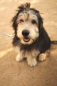 70441ba9b5d3b434bfc5bf592be3c87a