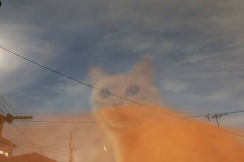 A51c6f5d87616852a5926dc72d4f21d4