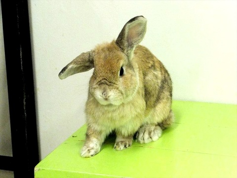 7a1740d20ca621441871937b660ba4c8