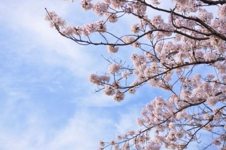 6c74cad124fa814e215d13f26e6a668a