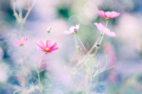 E5a1b57131c7b43b86824b864bc97950