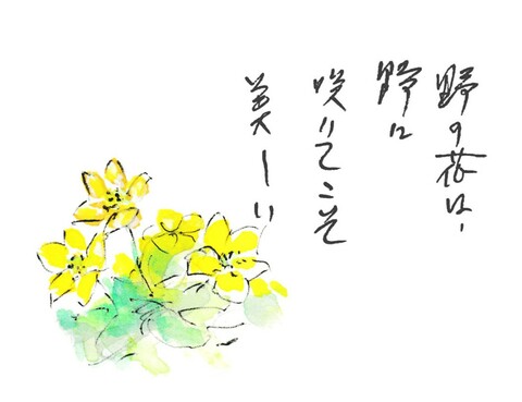 C6102fe0b6d3da46b8b51a0912aac249