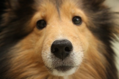 Dfcc0f257de9baef1af61708eb31dcd6