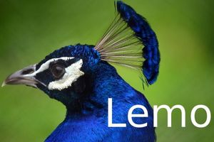 F696ea82cca5bf1718987a0f4d5a25f3