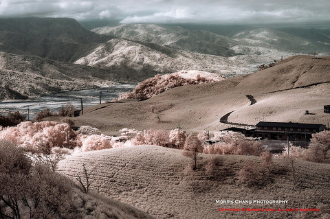 264cce498177668523a2b14c72456553