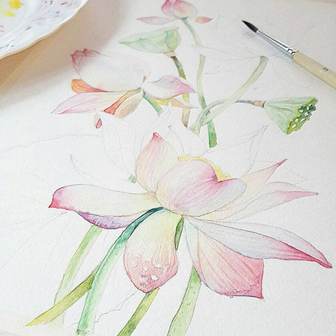 Ffffb97d2a38db84c8773ea44996a4c5