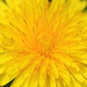 64054a87536f7f7d45f4383e76568fe5