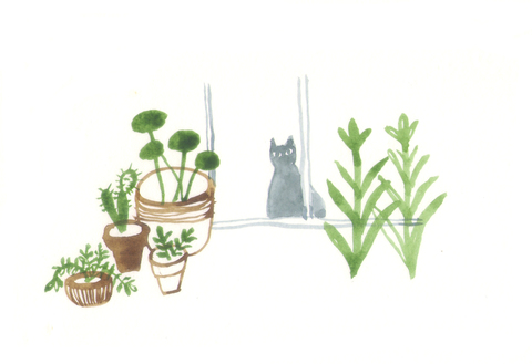 51ec5282e6d978a0919d173a953098af