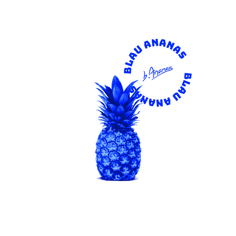 Bdc993903d81255a38a5e1d96b3a0ede